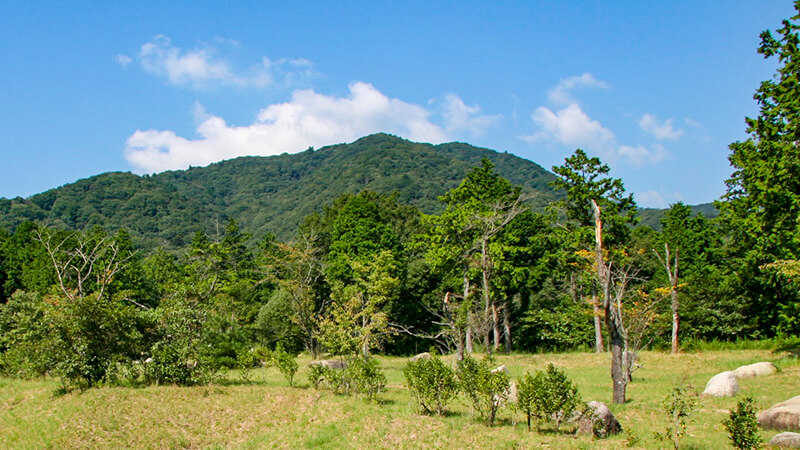 尾高山