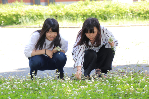 教養科目 授業の様子