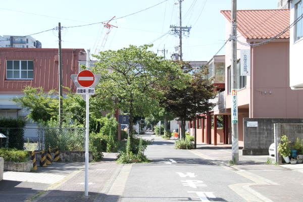 上空通路の左側の建物は本校体育館