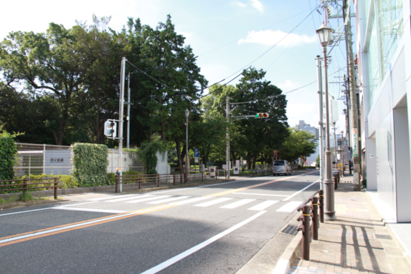 横断歩道(歩行者用信号)