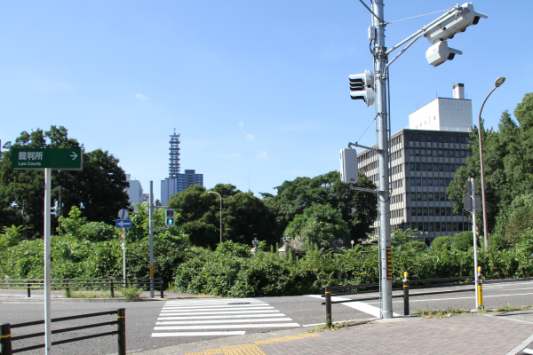 右の方に行くと横断歩道