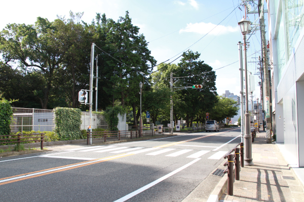 横断歩道(歩行者用信号)