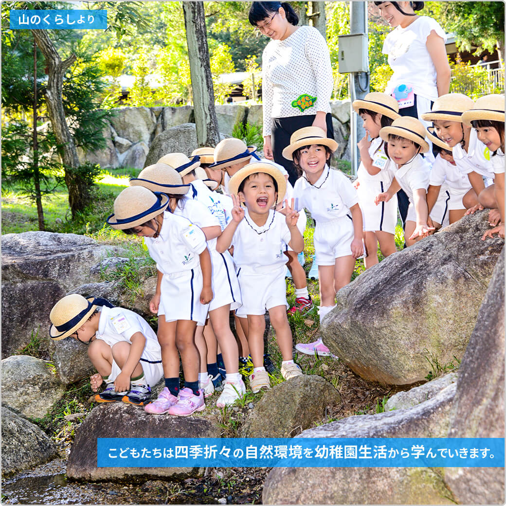 こどもたちは四季折々の自然環境を幼稚園生活から学んでいきます。